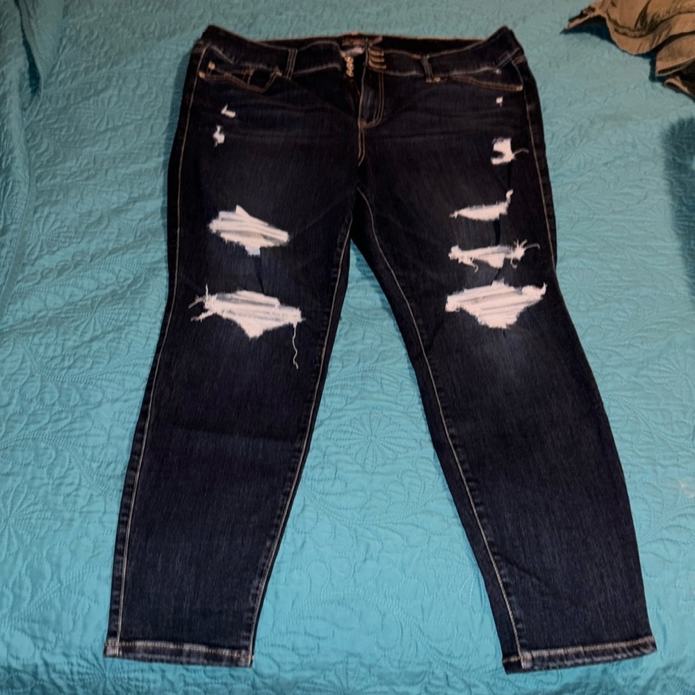 Torrid Jeggings